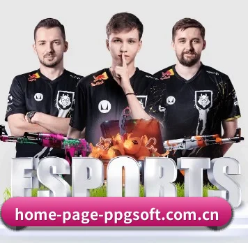 home-page-ppgsoft.com.cn APP 界面
